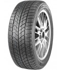 255/50R20 chinese winter tire Doublestar DW09 (passenger)